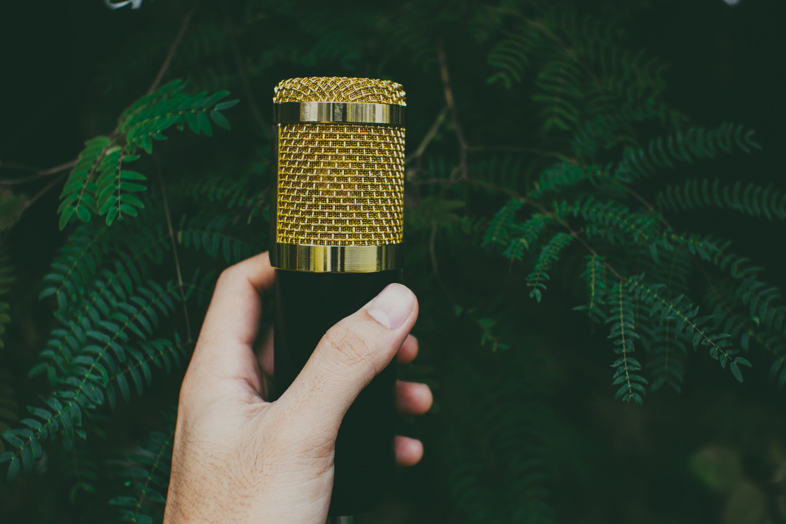 Person showing microphone against green plant