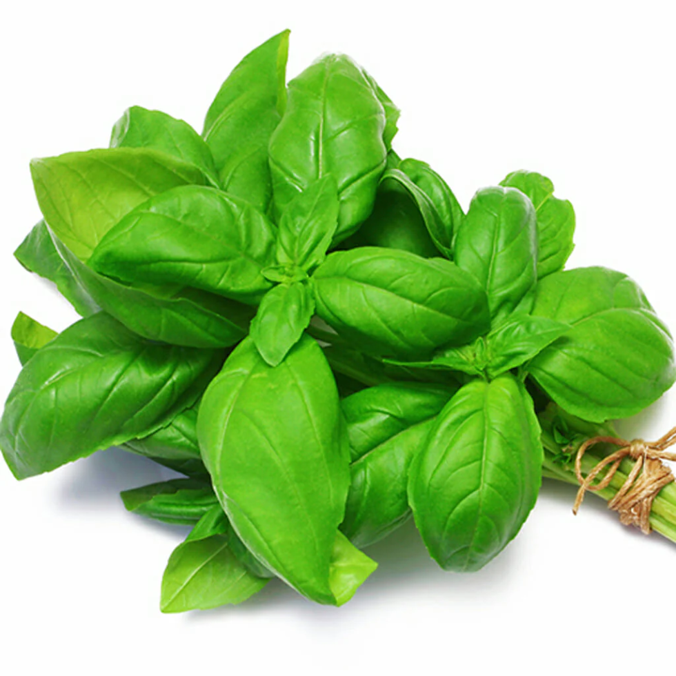 Organic Basil